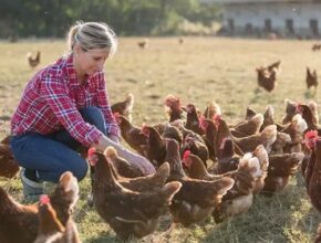 Poultry Jobs in Canada